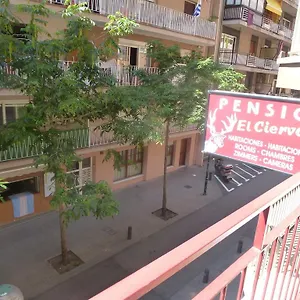 El Ciervo Lloret de Mar